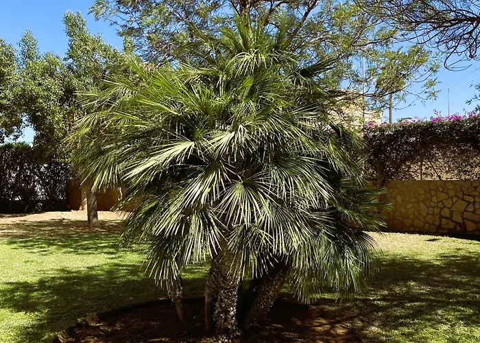 El Casa Kama شقة دينايا